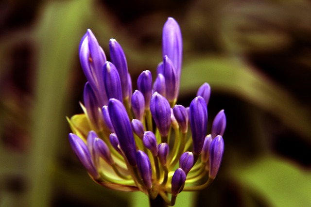 科怀-伦纳德状态回暖，快船大胜篮网收获二连胜.