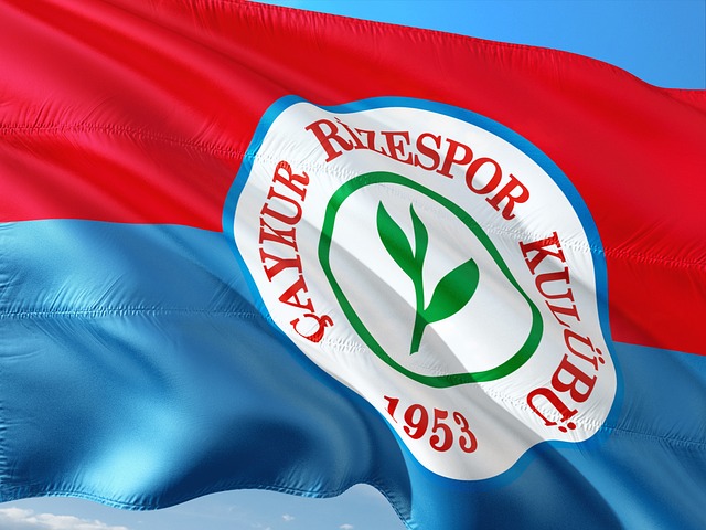 出不俗的斗 出不俗的斗