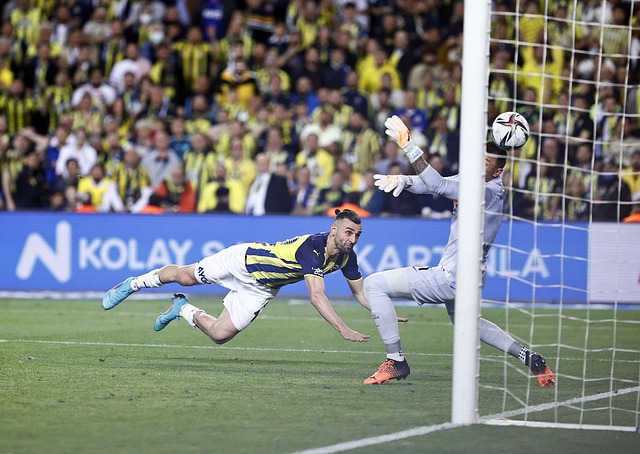 不仅是球迷 不仅是球迷