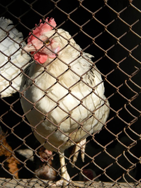 更是一次跨 更是一次跨