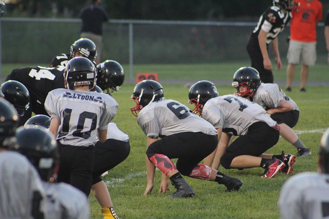 引入年轻有 引入年轻有